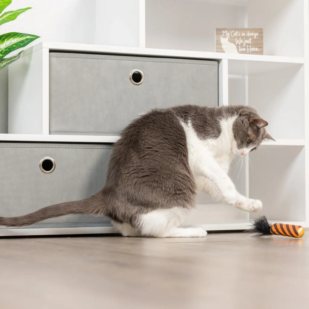 SpiderwebDonut_BlackFlameCandle2PK2.1_5000x